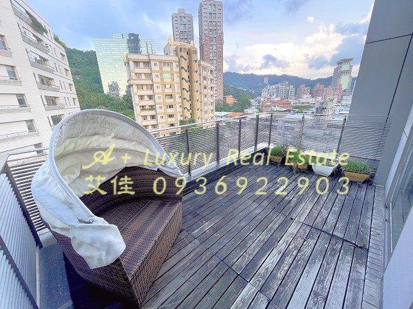 現代之藝一層一戶泳池