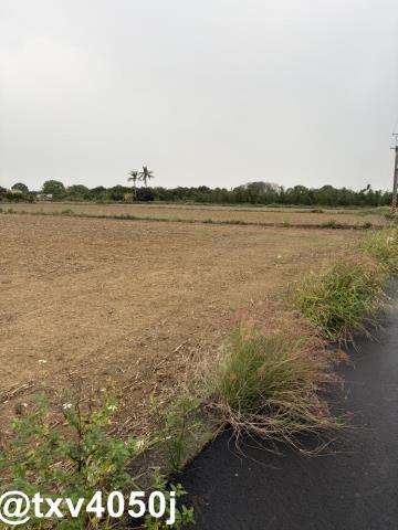 新化農地-5