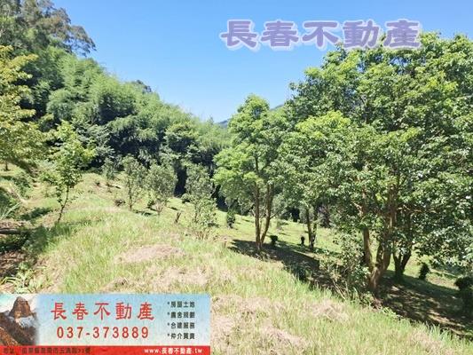 苗栗大湖農舍-13