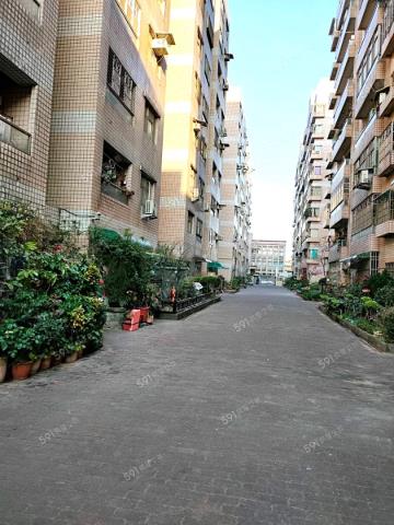 桃園華廈-6