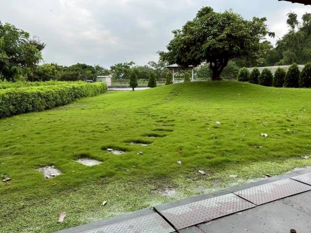 萬丹廠房-2