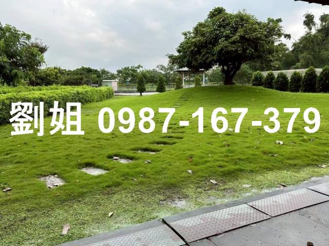 屏東農舍-1