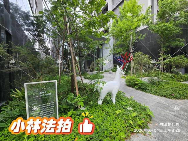 北屯拍賣大樓-4