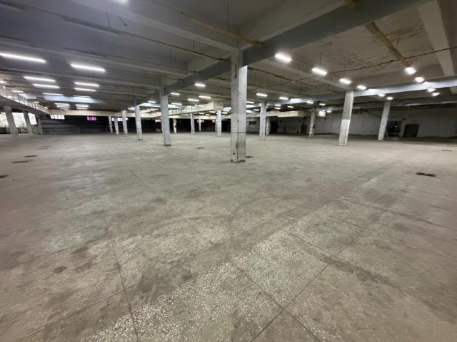 桃園中壢廠房-2