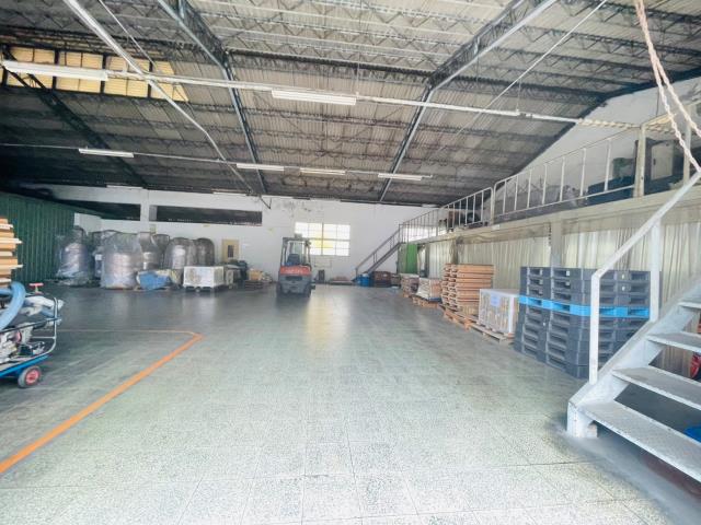 桃園中壢廠房-3
