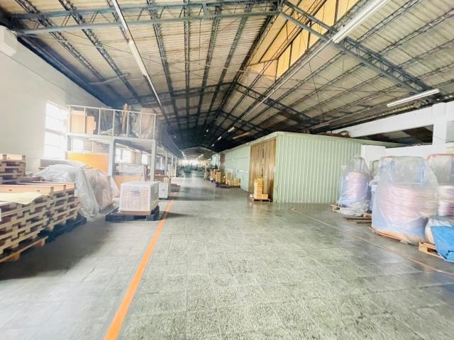 桃園中壢廠房-4