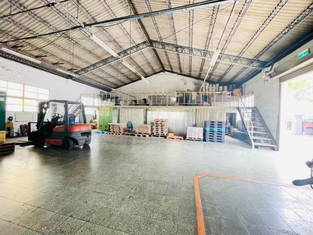 桃園中壢廠房-5