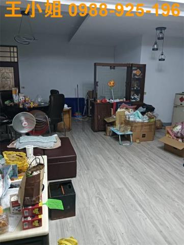 桃園大園透天-2
