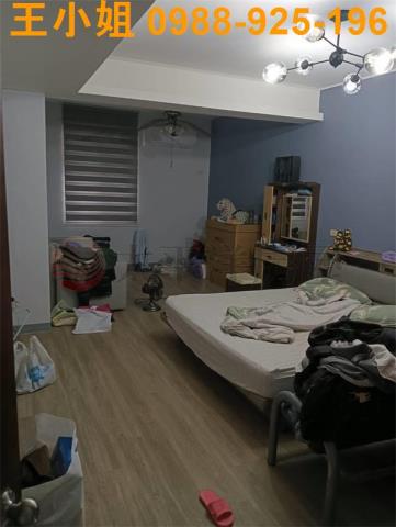 桃園大園透天-3