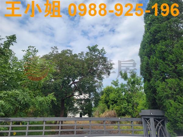 中壢農舍-1