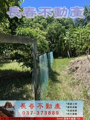 西湖農舍-7