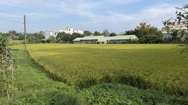 農地-3
