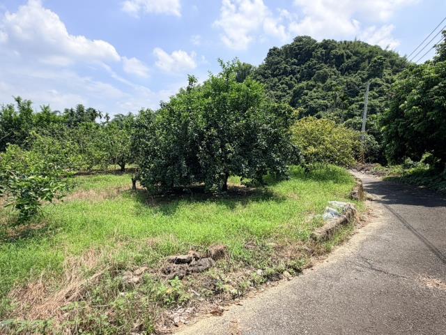 南投倉庫-5