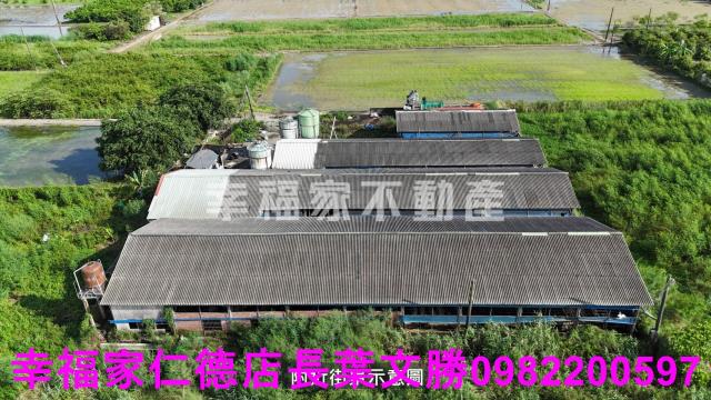 路竹畜牧設施-1
