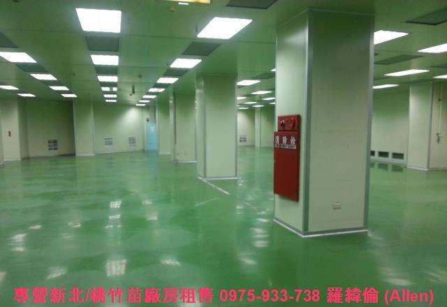 桃園中壢廠房-3