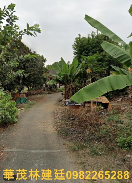 梅山拍賣未保存倉庫-4