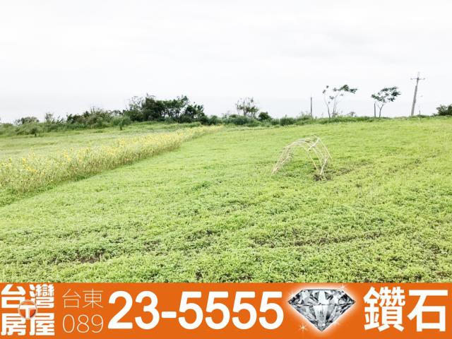 台東房屋仲介公司