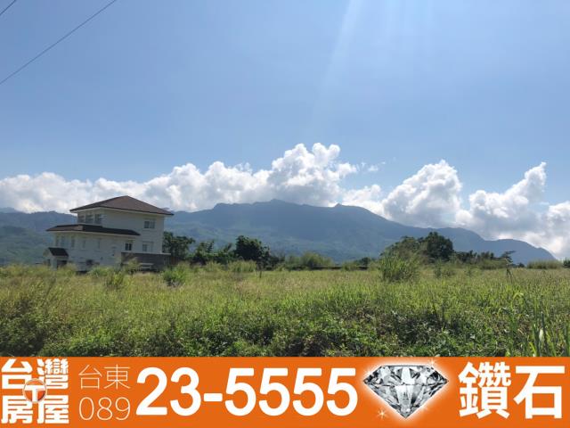 台東鹿野農地-8