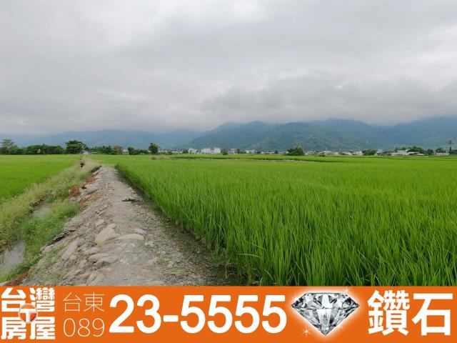 台東關山農地-12