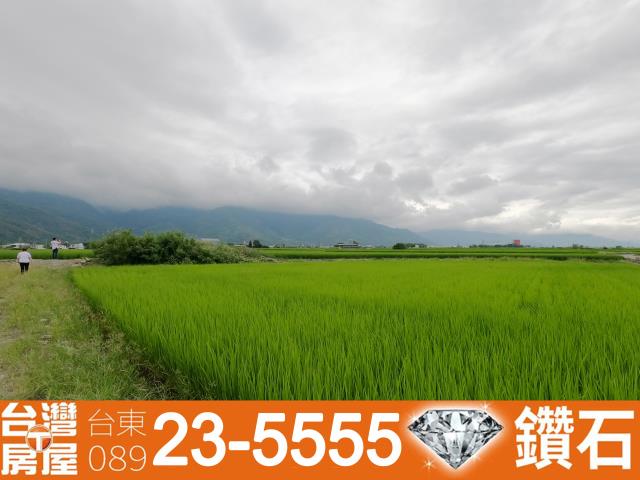 台東關山農地-10