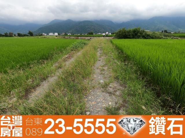 台東關山農地-11