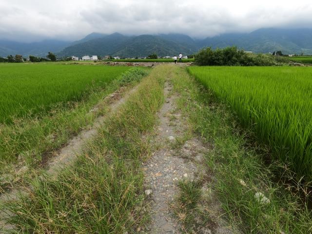 台東關山農地-15