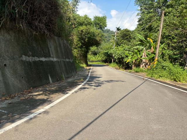 台中林地-9