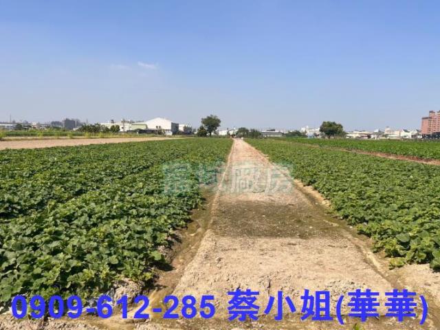 大寮農地-1