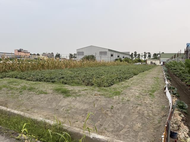 大寮農地-1
