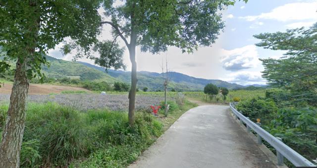 延平農地-1