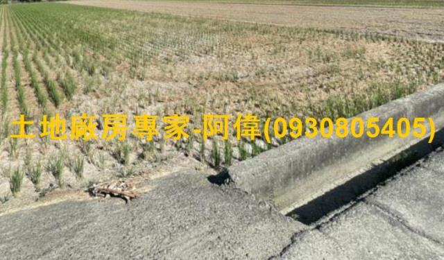 高雄橋頭農地-1