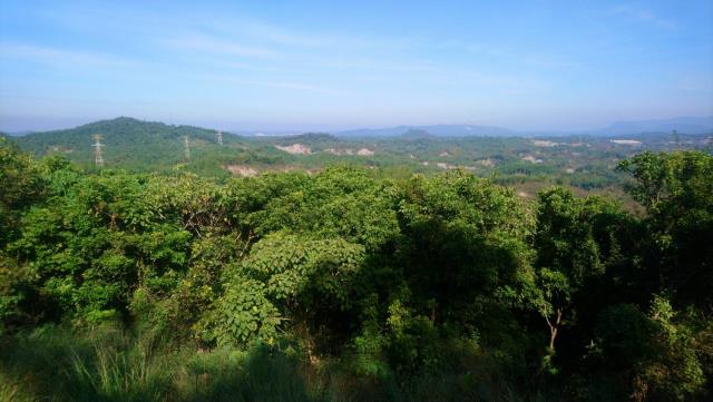 高雄旗山山坡地-1