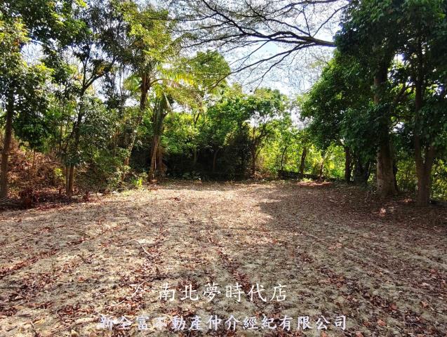 左鎮農地-5