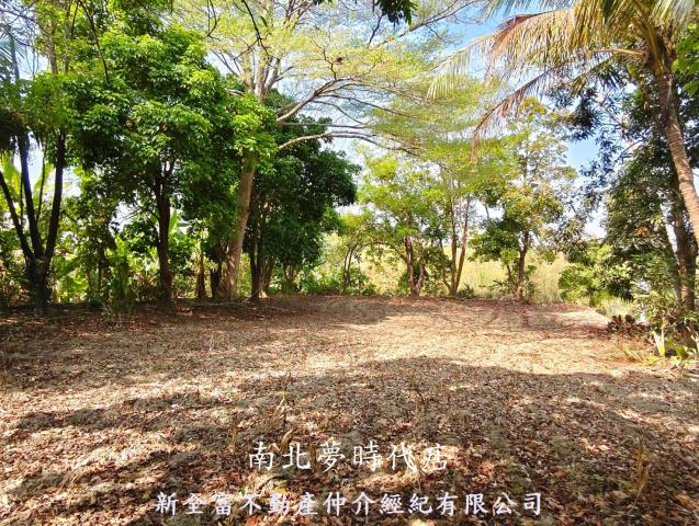 左鎮農地-6