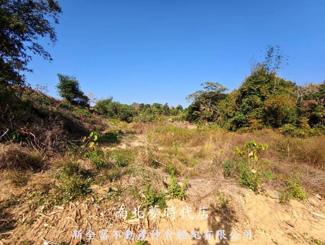 大內農地-9