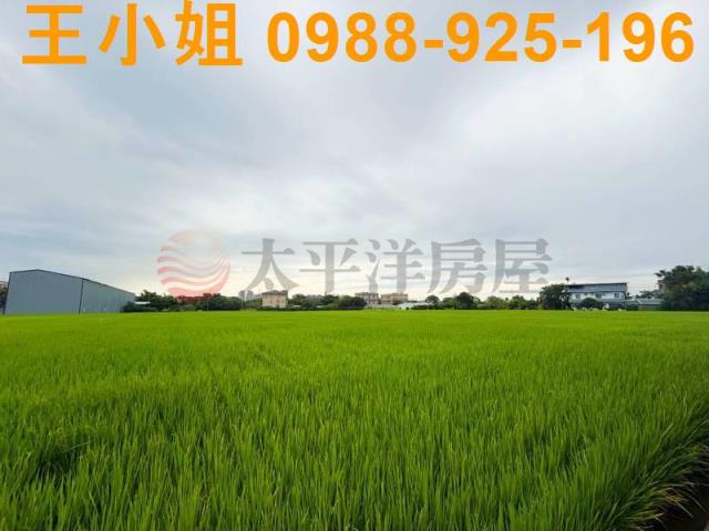 桃園中壢農地-7