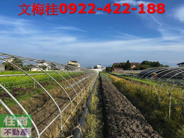 宜蘭農地-3