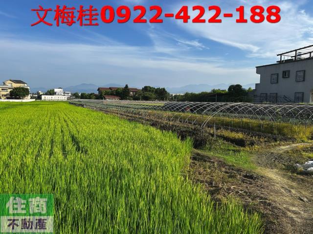 宜蘭農地-7