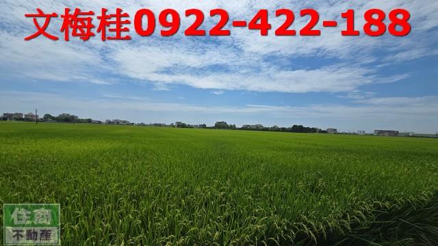 宜蘭農地-1