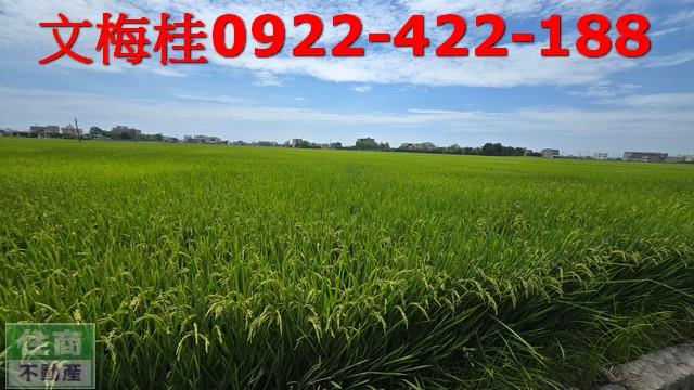 宜蘭農地-2