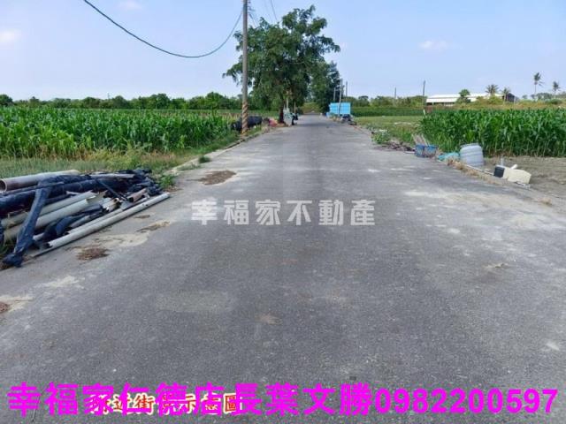 台南安定農地-10