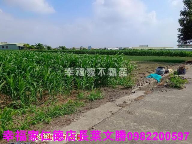 台南安定農地-12