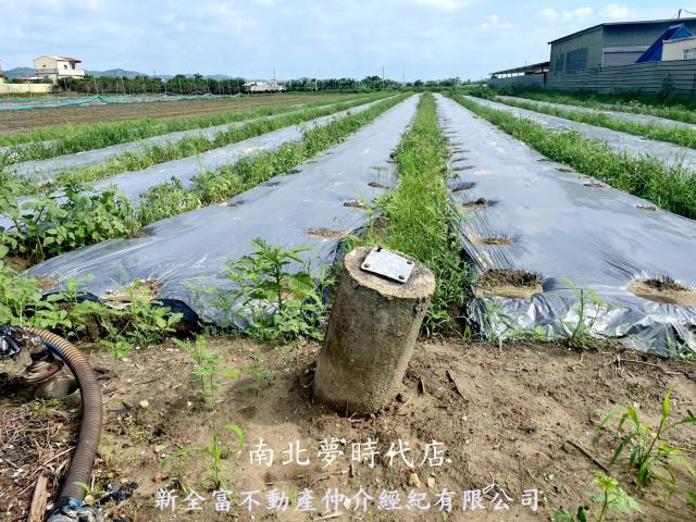 台南東山農地-1