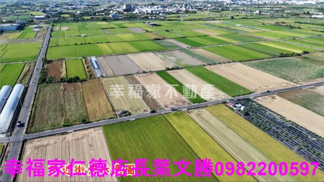 台南佳里農地-10