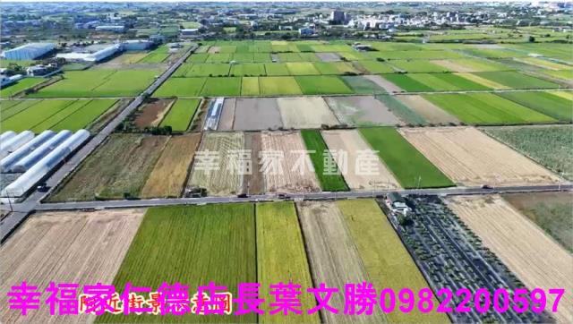 台南佳里農地-11