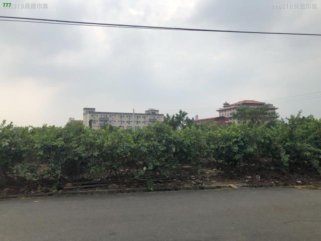 高雄旗山農地-1