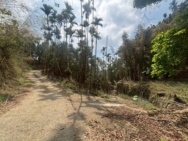 嘉義竹崎林地-5