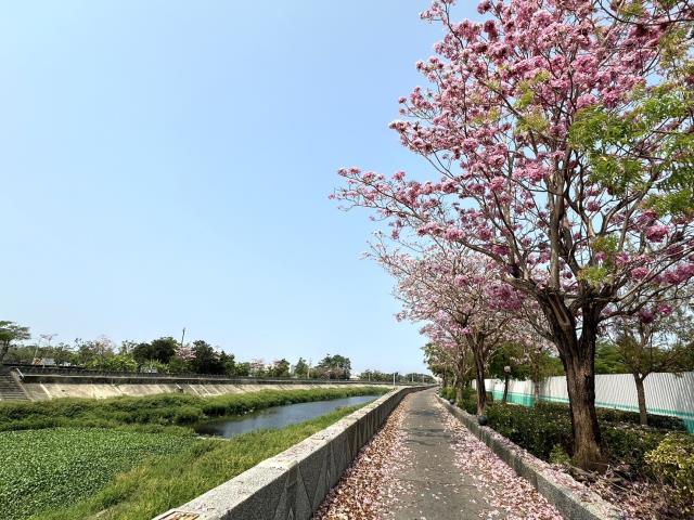 橋頭建地-13