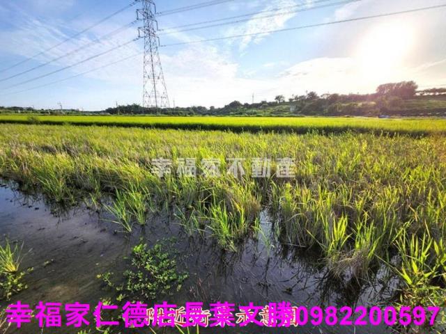 台南農地-2