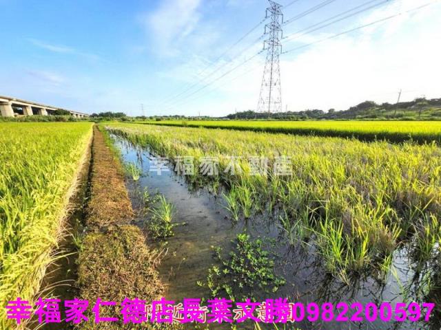 台南農地-3